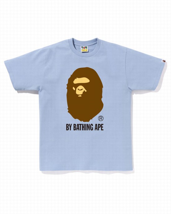 Camiseta Bape By Bathing Ape Hombre Azules | 926714-BGK