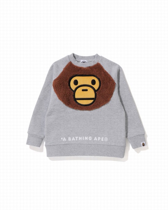 Sudaderas Bape Milo Crewneck Niños Grises | 049251-KEY